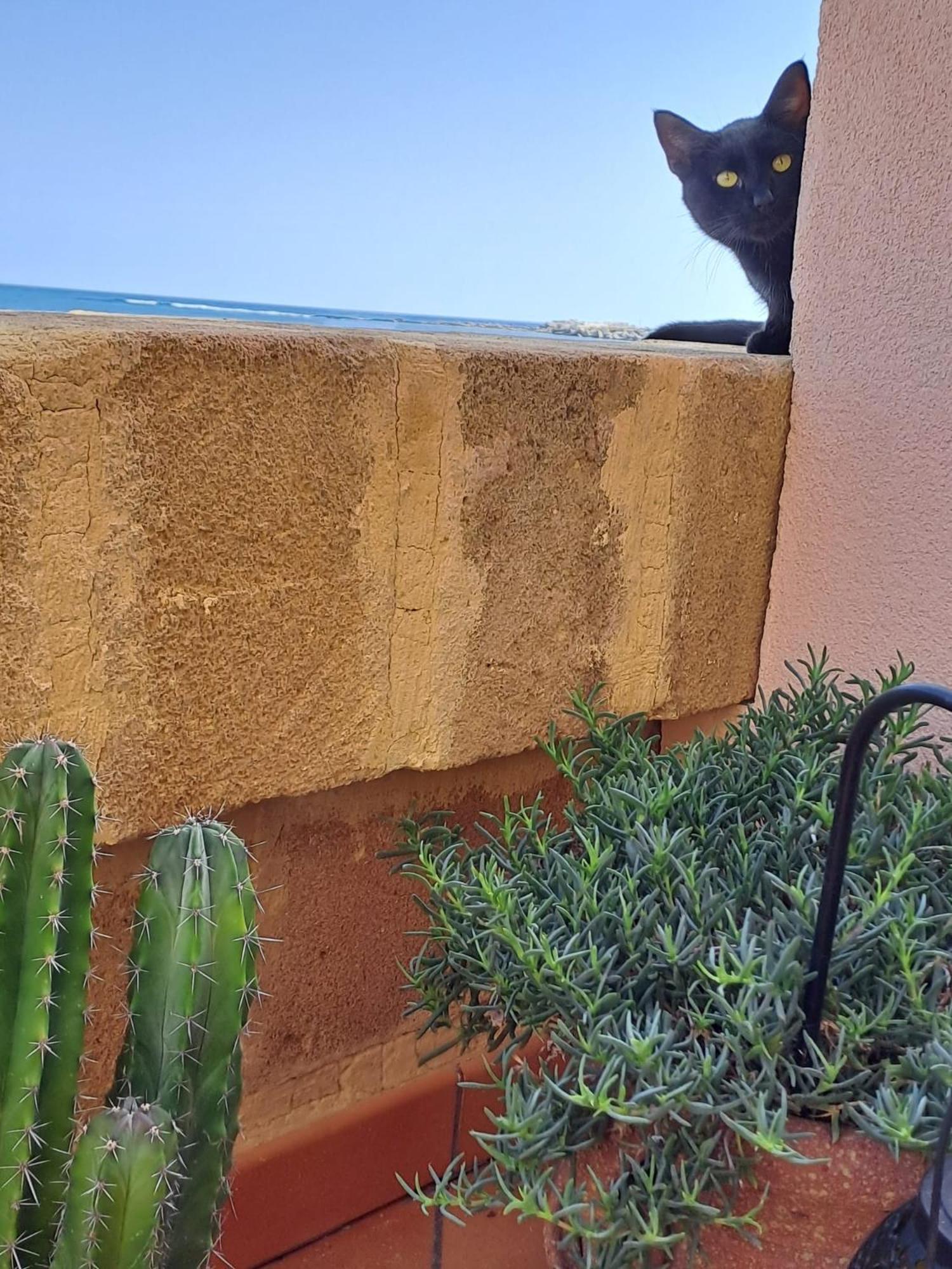 La Casa Sulla Spiaggia Marzamemi Eksteriør bilde